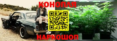 тгк Белореченск