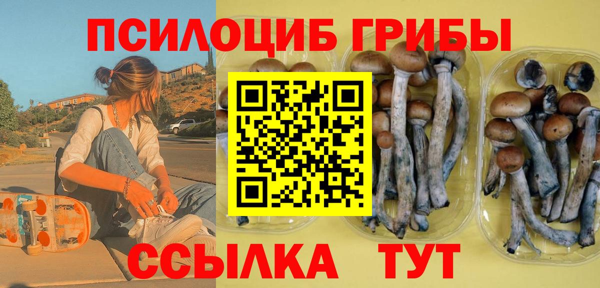 Галлюциногенные грибы Psilocybine cubensis Воркута