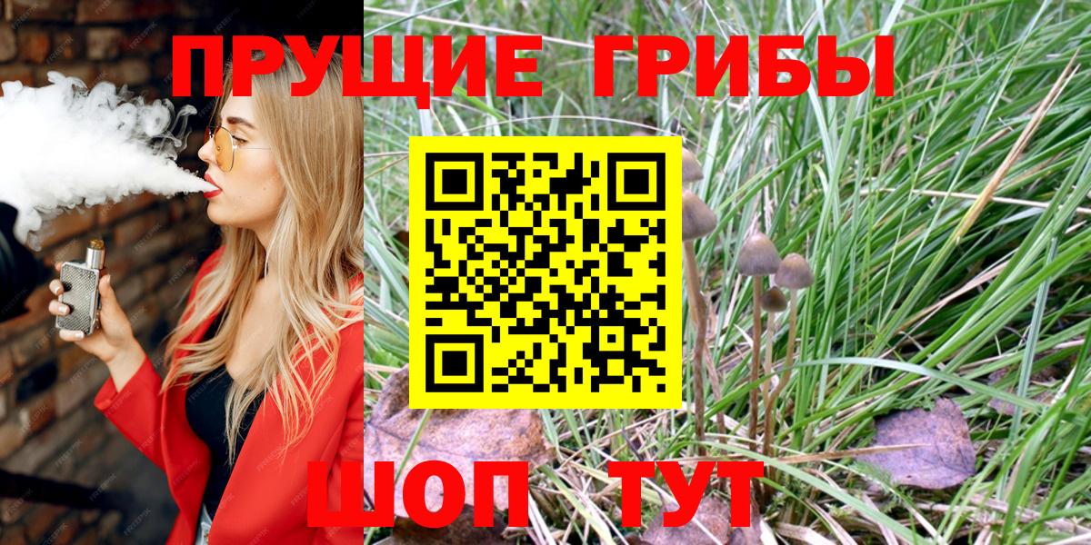 Воркута  Псилоцибиновые грибы мицелий  где купить наркоту  Вход с VPN 